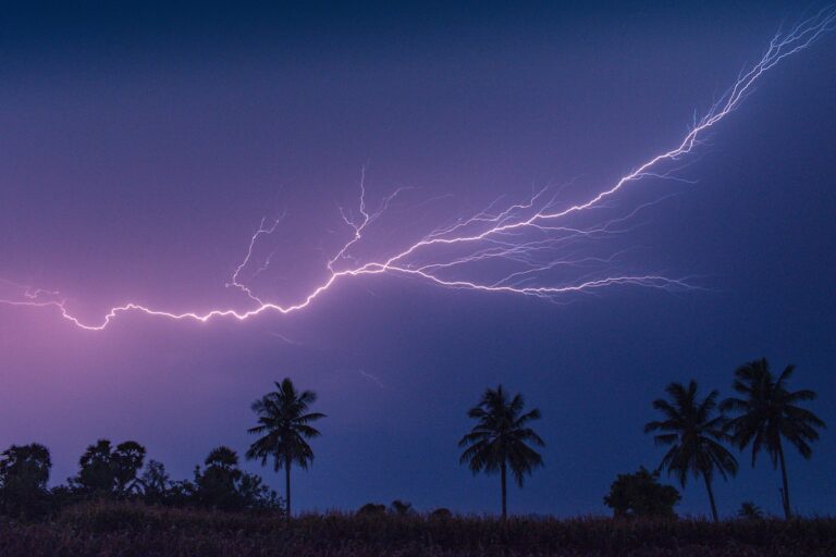 A bright lightning bolt streaks across a dark, cloudy sky above a row of silhouetted palm trees at night—a reminder of the importance to install lightning rod systems for proper lightning protection.